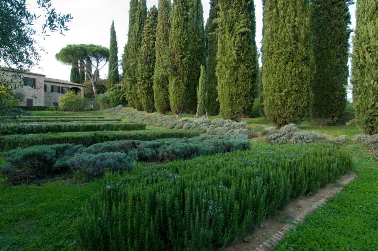 Bed and Breakfast Borgo La Torre Alle Tolfe Siena Exterior foto